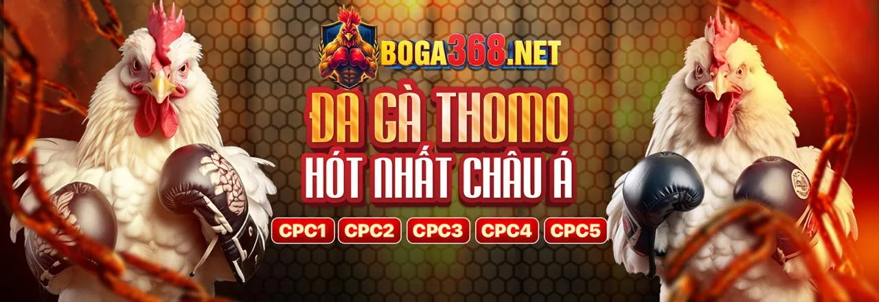 Đá gà trực tuyến AW8 sôi động